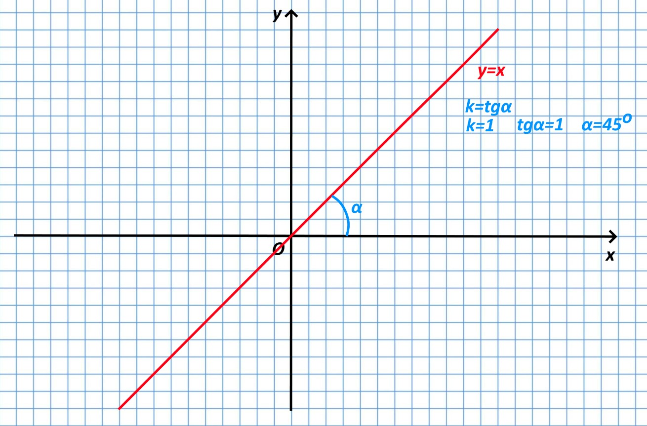 Частный случай линейной функции y=x